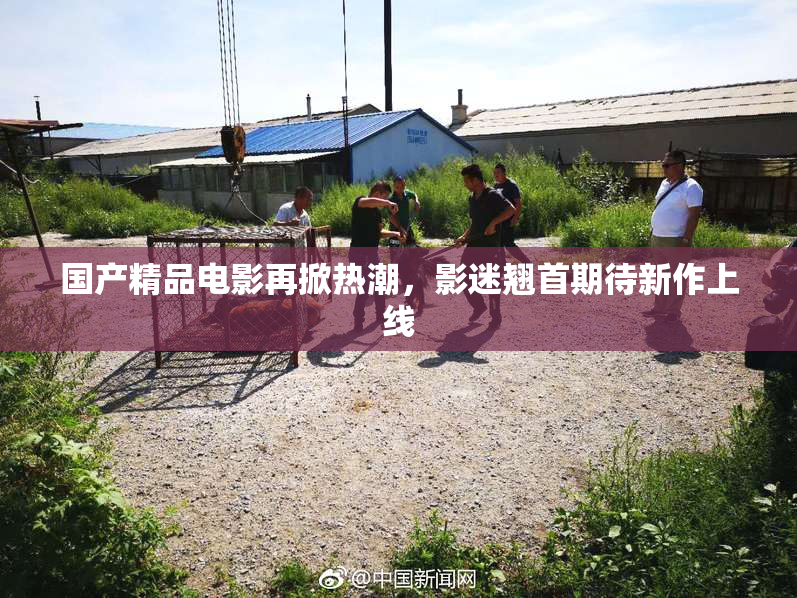 国产精品电影再掀热潮，影迷翘首期待新作上线