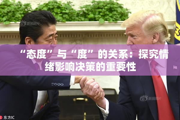 “态度”与“度”的关系：探究情绪影响决策的重要性
