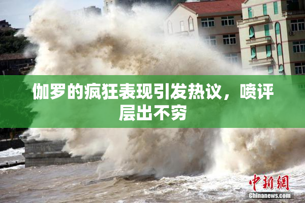 伽罗的疯狂表现引发热议，喷评层出不穷