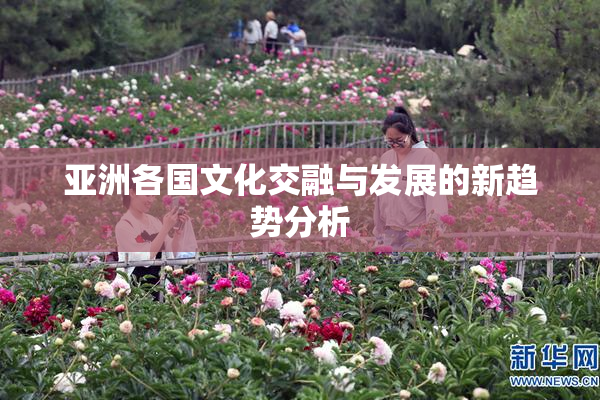 亚洲各国文化交融与发展的新趋势分析