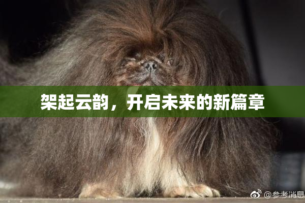架起云韵，开启未来的新篇章