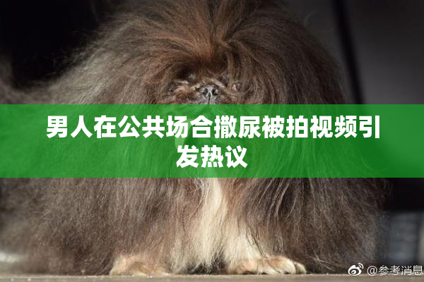 男人在公共场合撒尿被拍视频引发热议