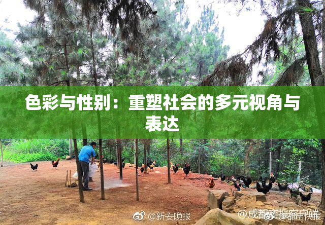 色彩与性别：重塑社会的多元视角与表达