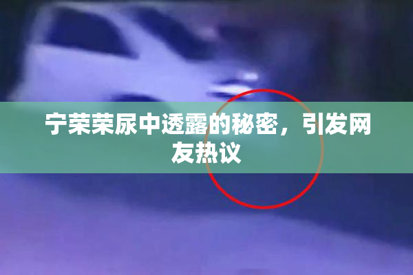 宁荣荣尿中透露的秘密，引发网友热议