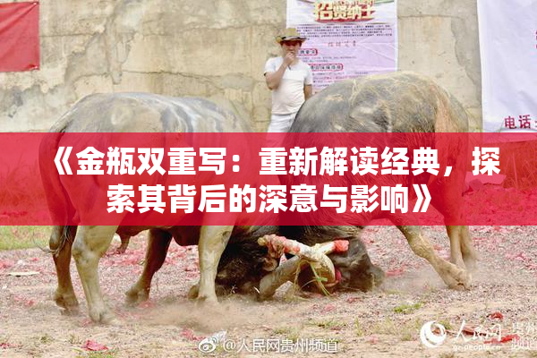 《金瓶双重写：重新解读经典，探索其背后的深意与影响》