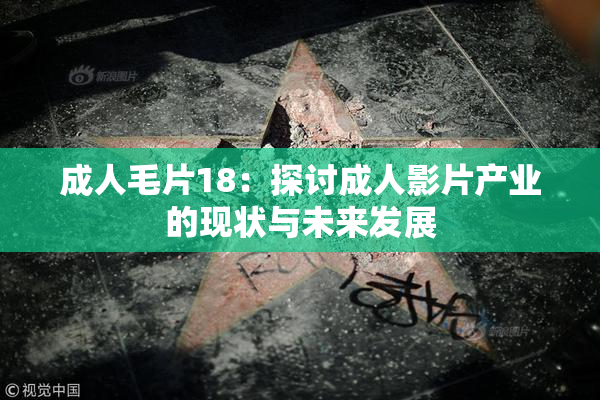 成人毛片18：探讨成人影片产业的现状与未来发展