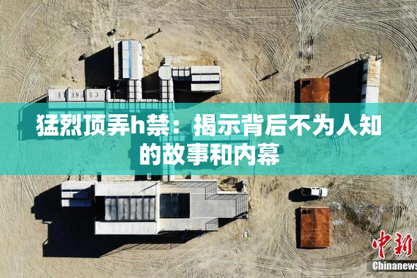 猛烈顶弄h禁：揭示背后不为人知的故事和内幕