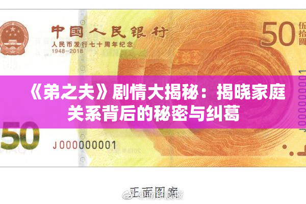 《弟之夫》剧情大揭秘：揭晓家庭关系背后的秘密与纠葛