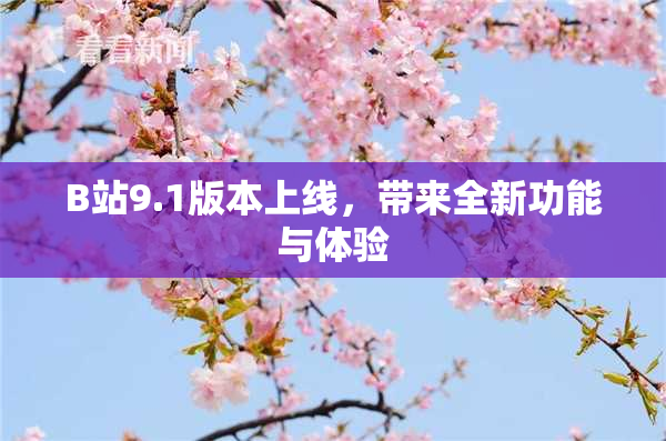 B站9.1版本上线，带来全新功能与体验