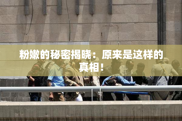 粉嫩的秘密揭晓：原来是这样的真相！