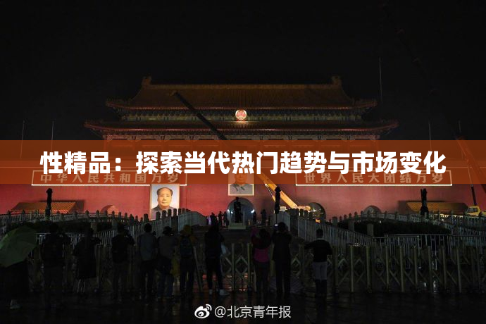 性精品：探索当代热门趋势与市场变化