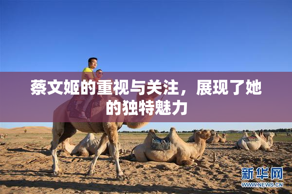 蔡文姬的重视与关注，展现了她的独特魅力