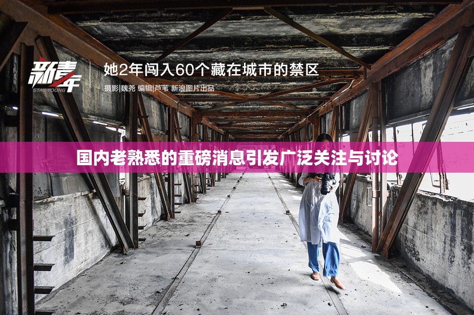 国内老熟悉的重磅消息引发广泛关注与讨论