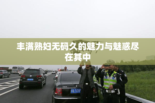 丰满熟妇无码久的魅力与魅惑尽在其中