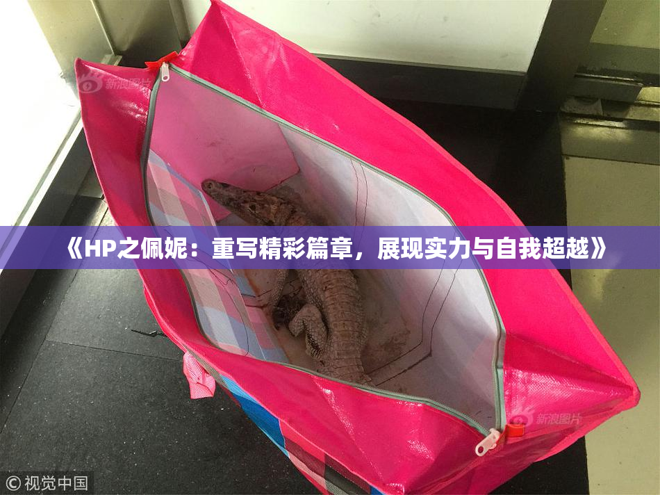 《HP之佩妮：重写精彩篇章，展现实力与自我超越》