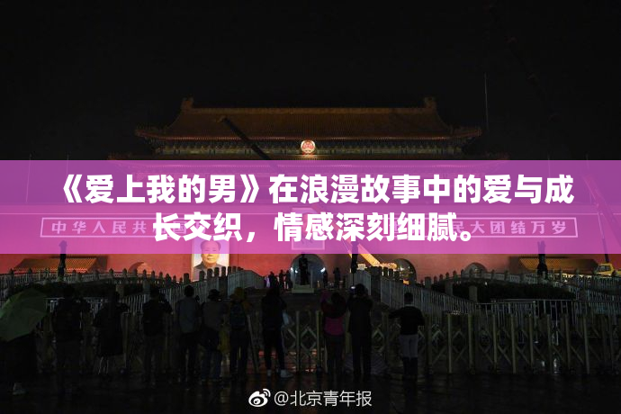 《爱上我的男》在浪漫故事中的爱与成长交织，情感深刻细腻。