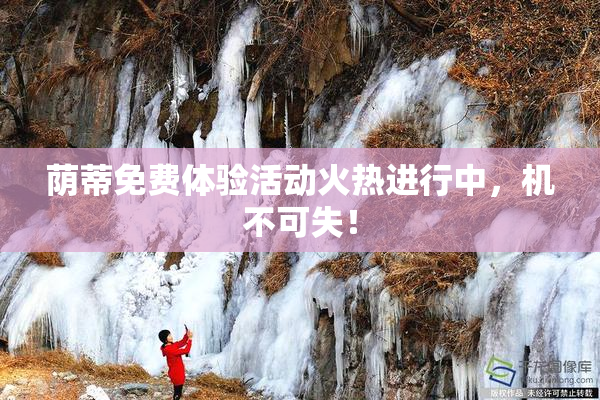 荫蒂免费体验活动火热进行中，机不可失！