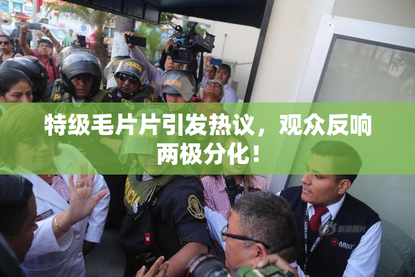 特级毛片片引发热议，观众反响两极分化！