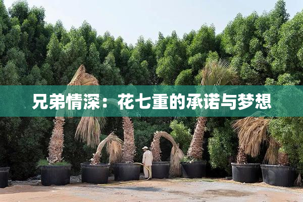 兄弟情深：花七重的承诺与梦想