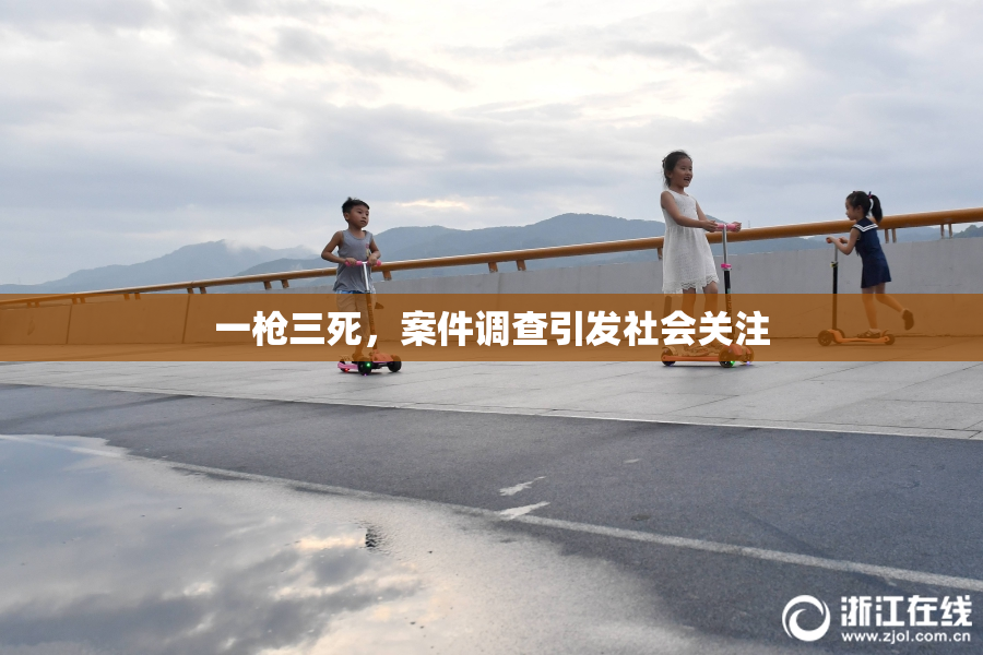 一枪三死，案件调查引发社会关注