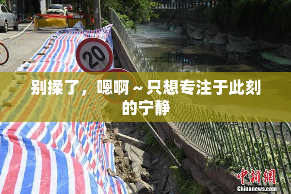 别揉了，嗯啊～只想专注于此刻的宁静