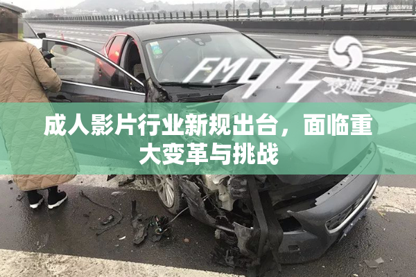 成人影片行业新规出台，面临重大变革与挑战