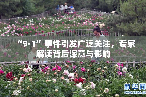“9·1”事件引发广泛关注，专家解读背后深意与影响