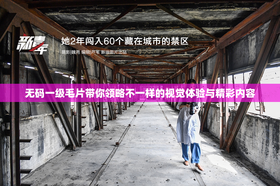 无码一级毛片带你领略不一样的视觉体验与精彩内容