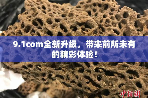 9.1com全新升级，带来前所未有的精彩体验！