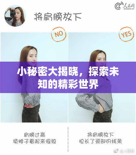 小秘密大揭晓，探索未知的精彩世界