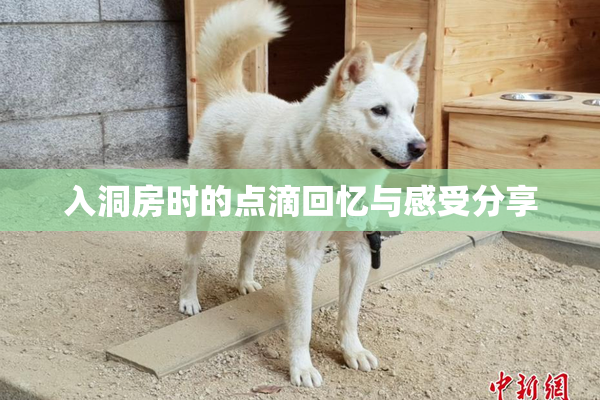 入洞房时的点滴回忆与感受分享
