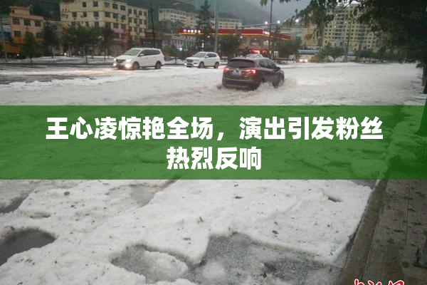 王心凌惊艳全场，演出引发粉丝热烈反响