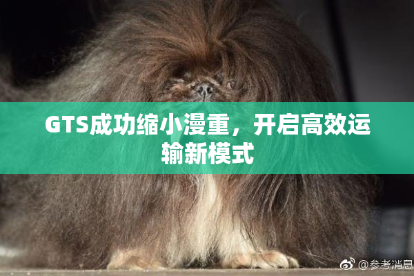 GTS成功缩小漫重，开启高效运输新模式