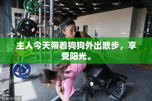 主人今天带着狗狗外出散步，享受阳光。