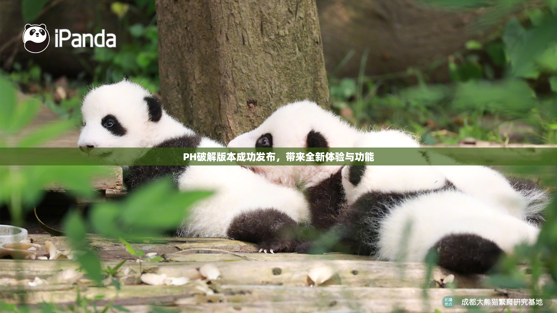 PH破解版本成功发布，带来全新体验与功能