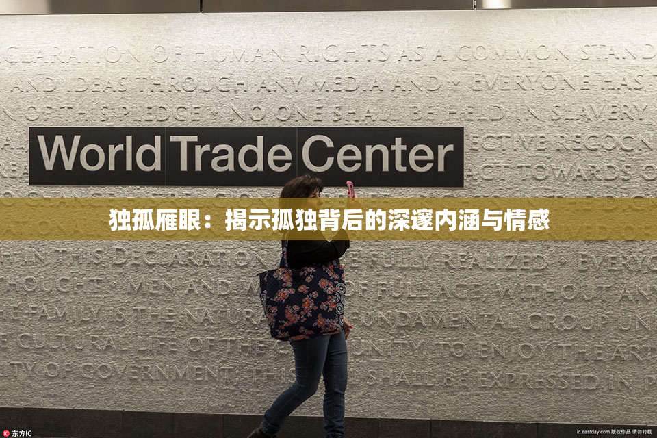 独孤雁眼：揭示孤独背后的深邃内涵与情感