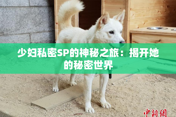 少妇私密SP的神秘之旅：揭开她的秘密世界