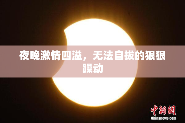夜晚激情四溢，无法自拔的狠狠躁动