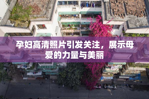 孕妇高清照片引发关注，展示母爱的力量与美丽