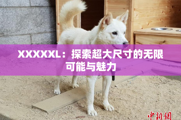 XXXXXL：探索超大尺寸的无限可能与魅力