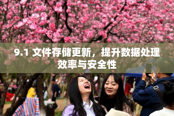 9.1 文件存储更新，提升数据处理效率与安全性