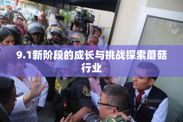 9.1新阶段的成长与挑战探索蘑菇行业