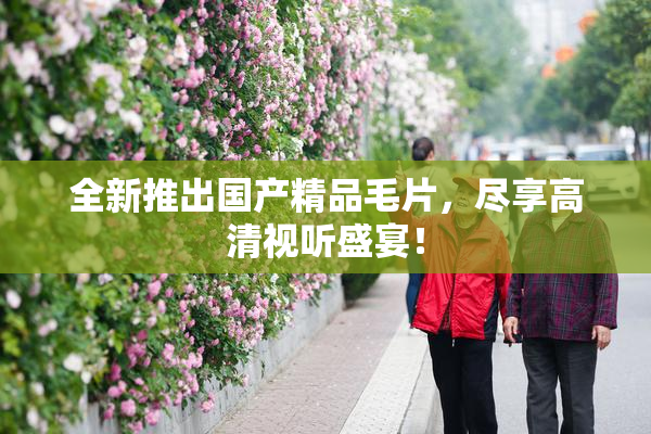 全新推出国产精品毛片，尽享高清视听盛宴！