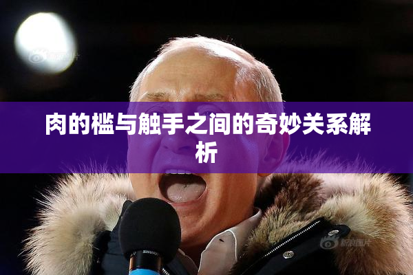 肉的槛与触手之间的奇妙关系解析