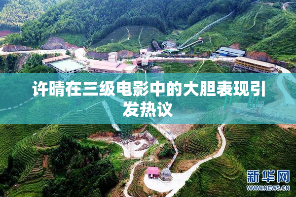 许晴在三级电影中的大胆表现引发热议