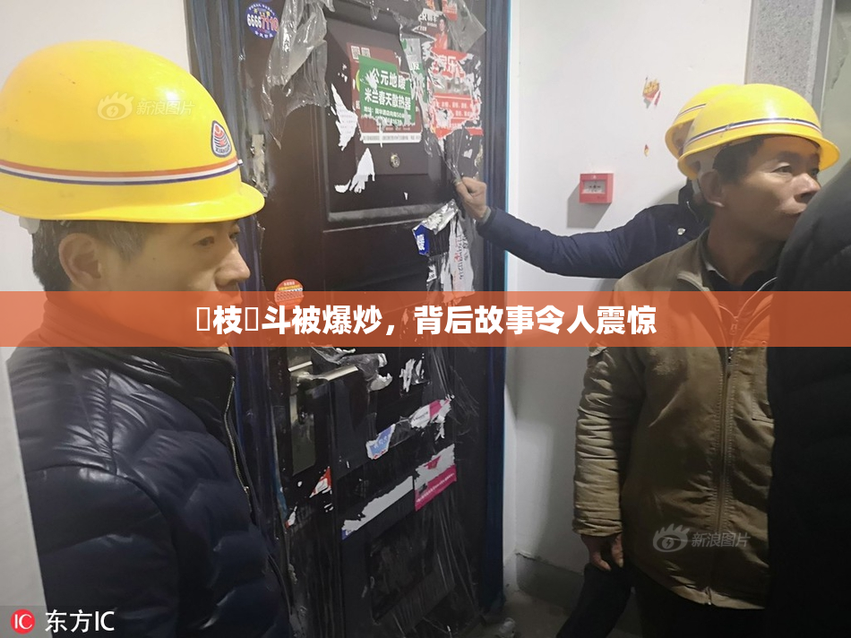 狛枝凪斗被爆炒，背后故事令人震惊