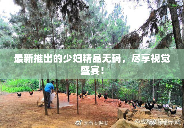 最新推出的少妇精品无码，尽享视觉盛宴！
