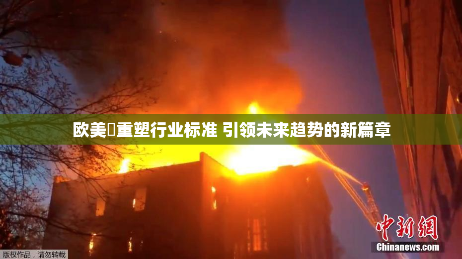 欧美巜重塑行业标准 引领未来趋势的新篇章