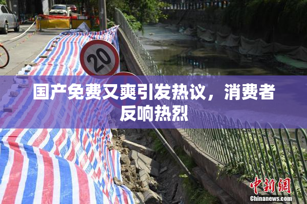 国产免费又爽引发热议，消费者反响热烈
