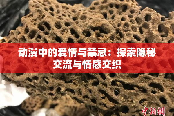 动漫中的爱情与禁忌：探索隐秘交流与情感交织